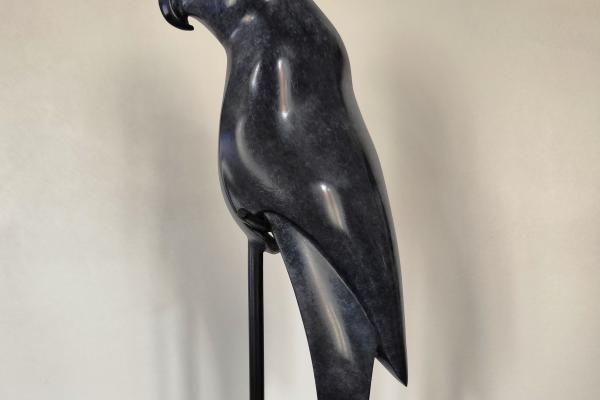 "BLU" PERROQUET BONZE PATINE ARDOISE
